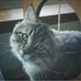 Jean Ann Lipscomb - Facebook