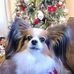 Jean Lovelace - Facebook