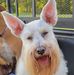 Jeanie Lovelace - Facebook