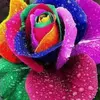 Jean Lyons560 - @jeanlyons560 - TikTok
