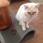 Jean Lyons - @jeanlyons2055 - Instagram