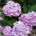 Jean Lyons Powers - @jeanlyonspowers - Instagram