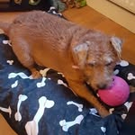 Jean Mackay - @jean.robertson.355 - Instagram