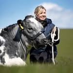 Jean Mackay - @jean.mackay - Instagram