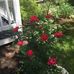 Jeanne MacMillan - Facebook