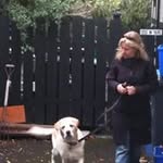 Jean Macpherson - @macpherson_jean - Instagram