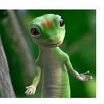 Jean MacPherson - @retiredgecko - Instagram