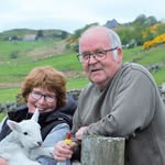 Jean Macpherson - @jeanspaniels - Instagram