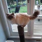 Jean Macpherson - @jean.macpherson.752 - Instagram