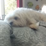 Jean Magner - @jeanmagner - Instagram