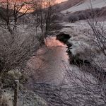 Jean & Malcolm Sutcliffe - @malcolm.jean.sutcliffeglass - Instagram