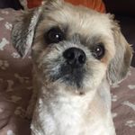 Jean Malcolm - @jeanmalcolm63 - Instagram