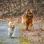 Deborah Jean Markham - @djm0320 - Instagram