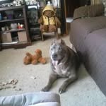 jean. markham - @jean.markham9682 - Instagram