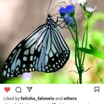 Jean Markham - @jean.markham.7503 - Instagram