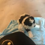 Jean Martindale - @jean.martindale.52 - Instagram
