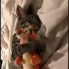 jean martz - @jean.martz - TikTok