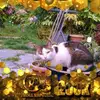 Jean Mather - @jeanmather - TikTok