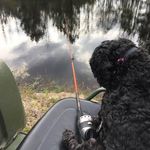 Jean Matthews - @jean.matthews.12764 - Instagram