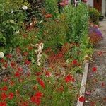 Jean Matthews - @jean.matthews.7503 - Instagram