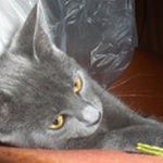 Jean Mayes - @jean_mayes - Instagram