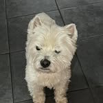 Jean Mayes - @mazie22 - Instagram