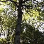 Jean François Mayne - @jeanfrancoismayne - Instagram