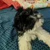 Jean McCartney - @jean.mccartney8 - TikTok