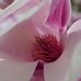 Jean McCormack - Facebook