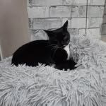 Jean mclelland - @mclelland.jean - Instagram
