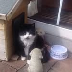 Jean Mcnally - @jmcn602002 - Instagram