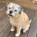 Jean McQueen - @jean.mcqueen - Instagram