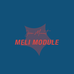 Jean Monnet MELI Module - Facebook