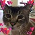 Jean Sigler-Mellinger - Facebook