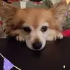 jeanmellinger - @jeanmellinger - TikTok