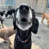 Nunyobuziness - @jeanmensinger - TikTok