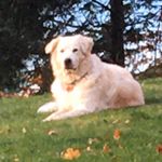 Jean Messer - @nysnowbum - Instagram