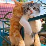 Donna Jean Messner - @donnajeanmessner - Instagram