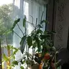 jeanmetayer - @jeanmetayer - TikTok