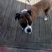 Jean Millard - Facebook