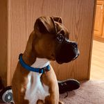 Jean Milligan - @jean.milligan.7 - Instagram