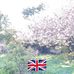 Jean Milligan - Facebook