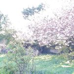 Jean Milligan - @jean.milligan.988 - Instagram