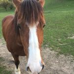 Jean Milligan - @jean.milli03 - Instagram