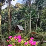Jean Claudio Moeller - @moellerjean - Instagram