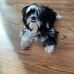 Jean Molitor - Facebook