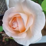 Jean-Yves Molitor - @jeanyvesmolitor - Instagram