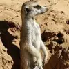 jeanmariemolitor - @jeanmariemolitor - TikTok