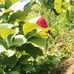 Jean Moulin - Facebook