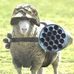 Jean-Charly le Mouton - Facebook